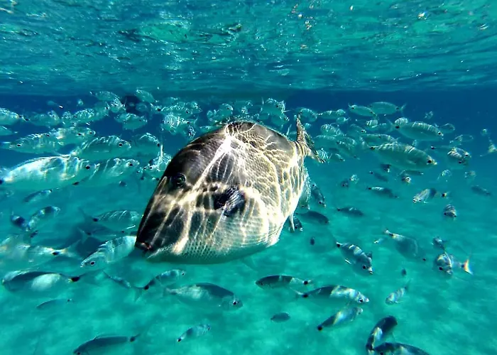 Vacation Ever Cagliari